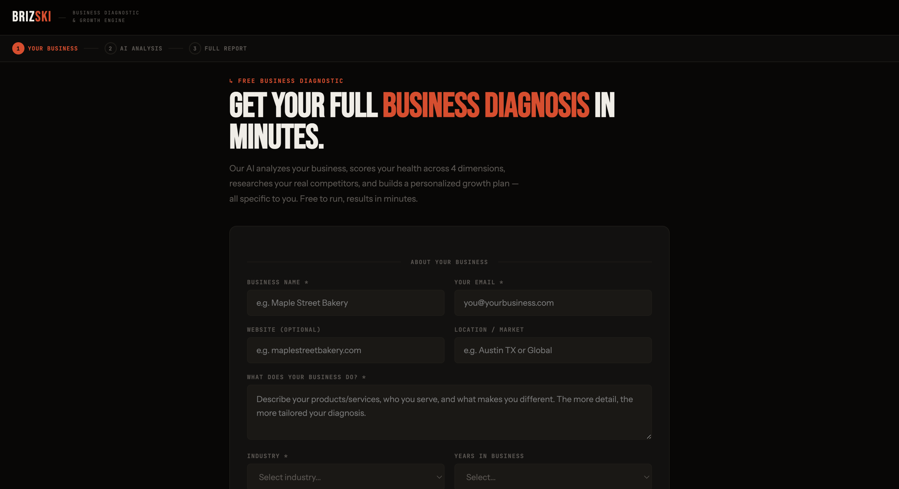 Brizski business diagnostic platform screenshot